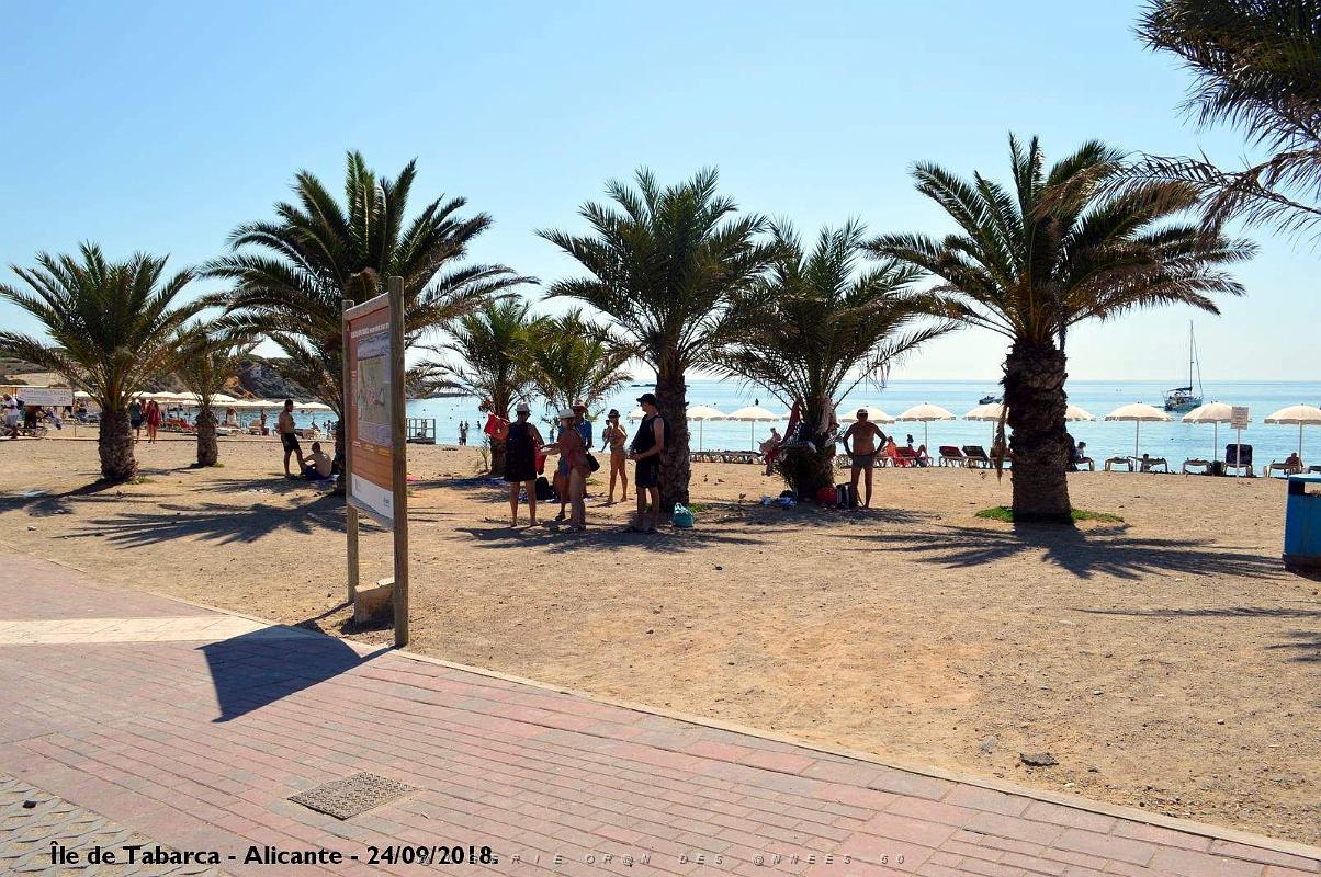 21 ALICANTE L ILE DE TABARCA (174).JPG